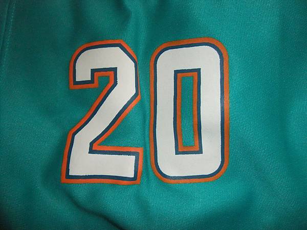 Miami Dolphins 201516 50th Anniversary -- 肩膀.JPG