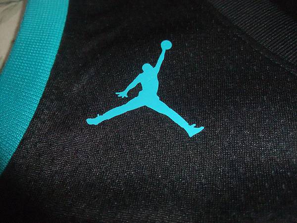 Charlotte Hornets 201819 City Edition--Jordan Brand.JPG