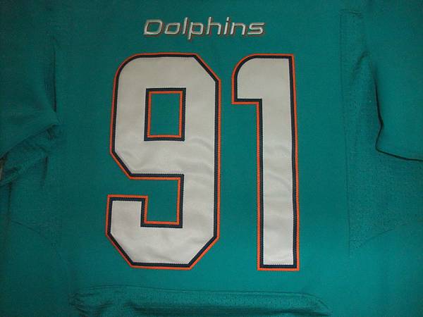 Miami Dolphins 201317 (H) 球員版 -- 胸前.JPG