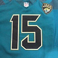 Jacksonville Jaguars 201417 Alternate--胸前.JPG