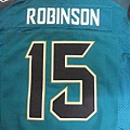 Jacksonville Jaguars 201417 Alternate--15 Allen Robinson.JPG