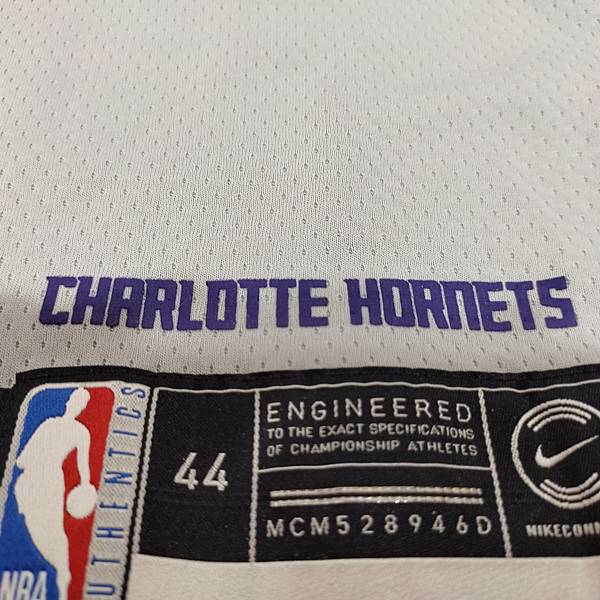 Charlotte Hornets 201920 City Edition--下襬.jpg