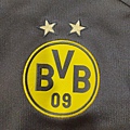 BVB 201718(A)--隊徽.jpg