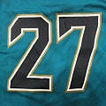 Jacksonville Jaguars 2017 Alternate--胸前.JPG