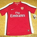 Arsenal 200809主場--正面