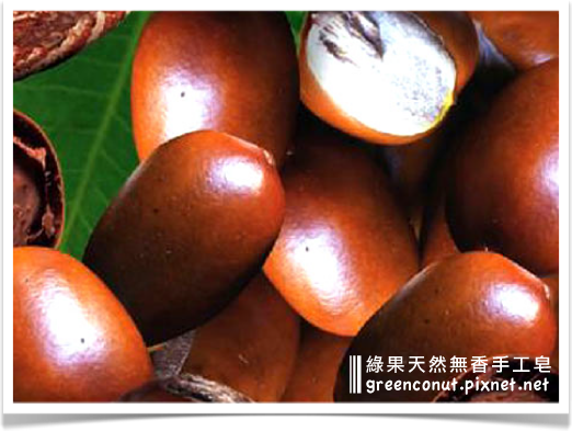 shea-butter-西非乳油木果脂-綠果手工皂 shea-butter-西非乳油木果脂-綠果手工皂