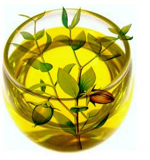 jojoba-oil-benefits-荷荷芭油-綠果手工皂 jojoba-oil-benefits-荷荷芭油-綠果手工皂