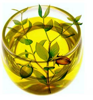 jojoba-oil-benefits-荷荷芭油-綠果手工皂