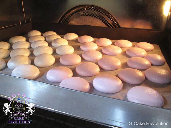 IMG_8925_副本.jpg IMG_8925_副本.jpg