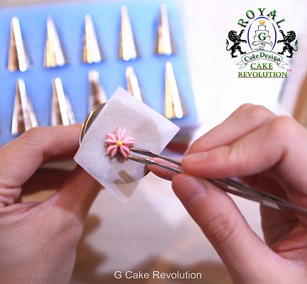 星空棒棒糖 / 蟲蟲標本棒棒糖 食譜 DIY 星空棒棒糖 / 蟲蟲標本棒棒糖 食譜 DIY