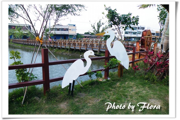 彰化打廉公園鷺鷥