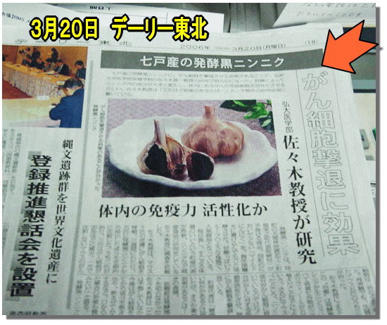 日新聞 - 2.jpg