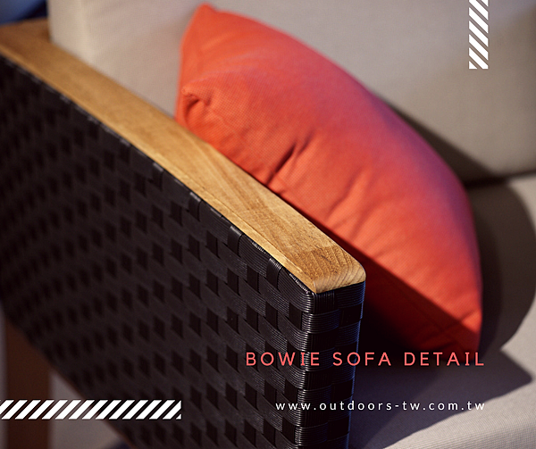 bowie_02 bowie_02