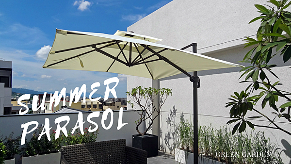 parasol_12 parasol_12