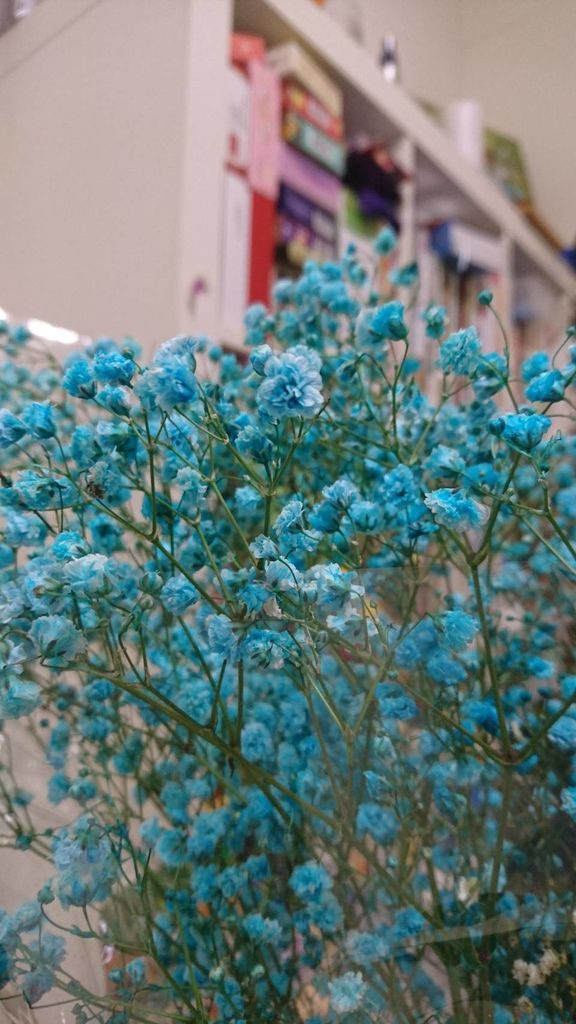 316536.jpg 316536.jpg