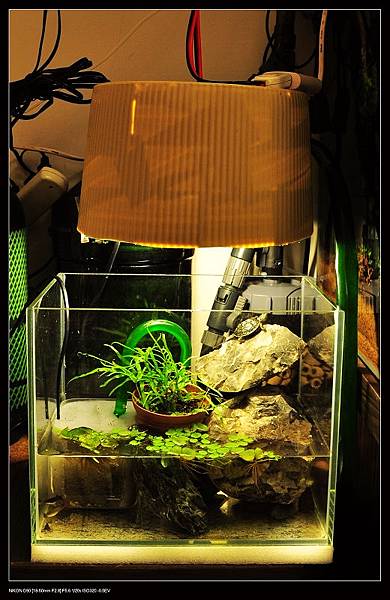nEO_IMG_DSC_6596 nEO_IMG_DSC_6596
