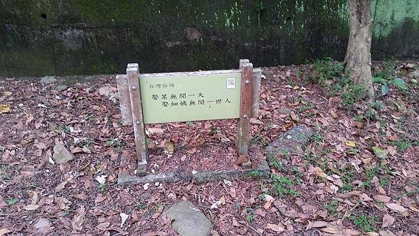 藤山步道2.jpg