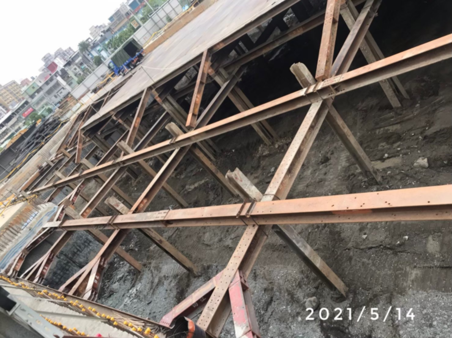 圖片 新家成長紀錄