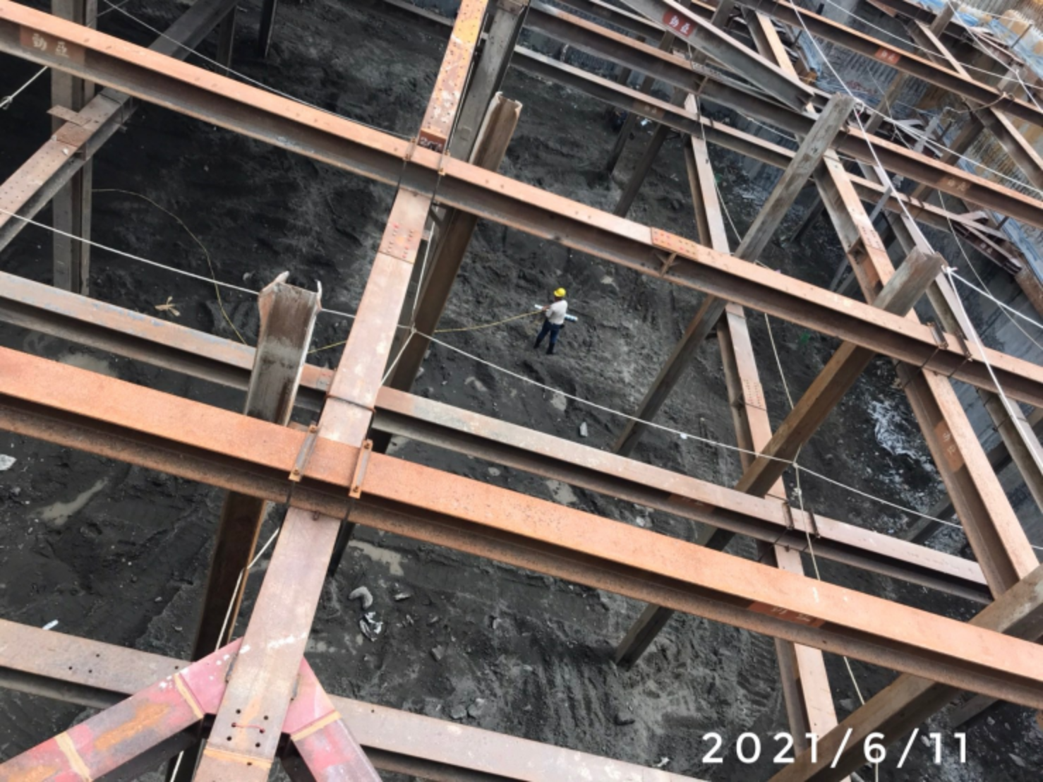 圖片 新家成長紀錄