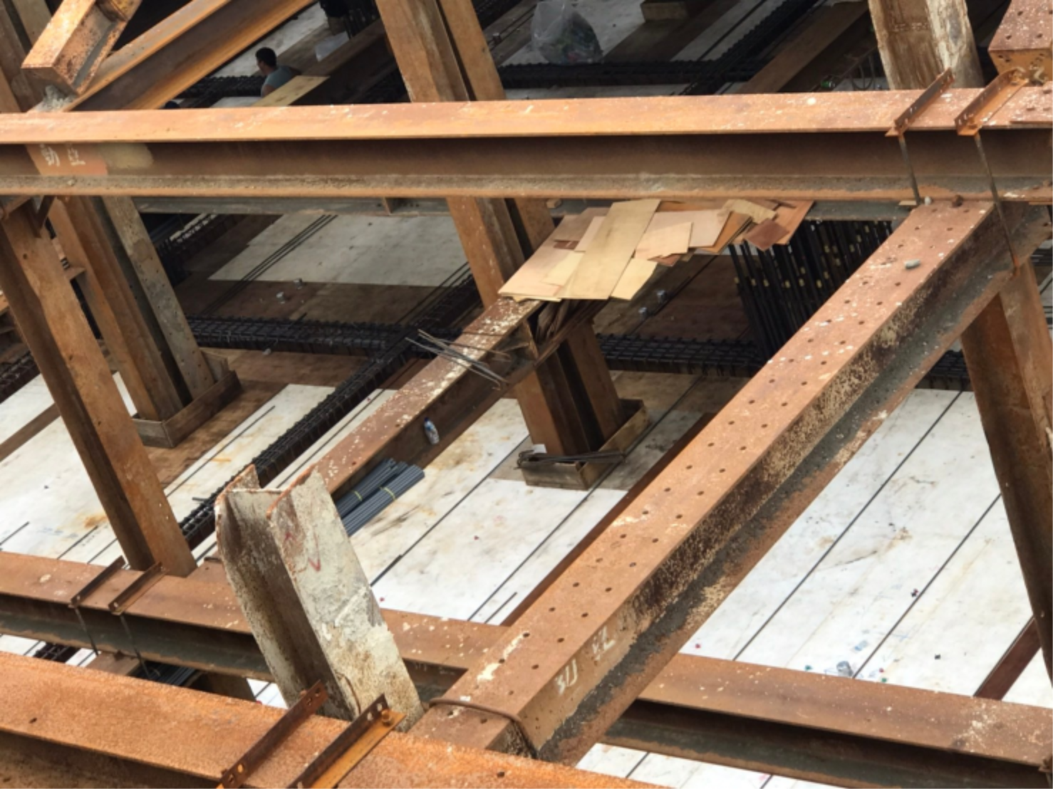 圖片 新家成長紀錄