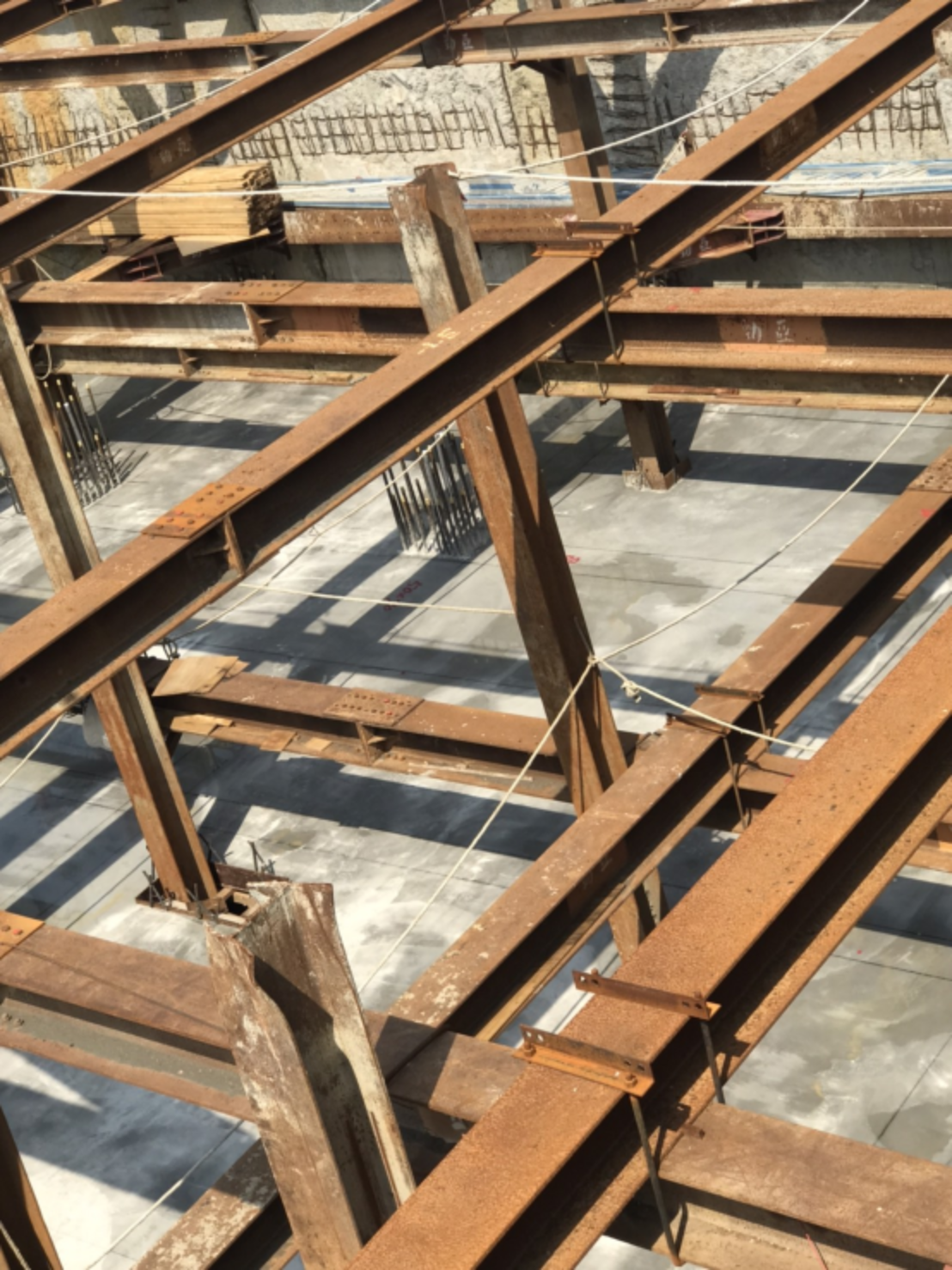 圖片 新家成長紀錄