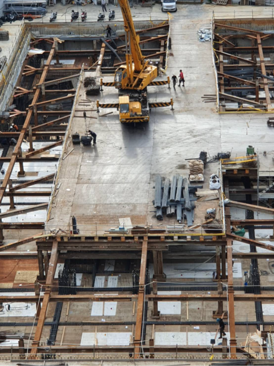 圖片 新家成長紀錄