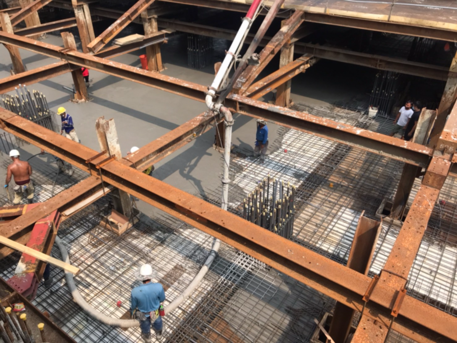 圖片 新家成長紀錄