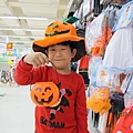 IMG_2568 (600x450)