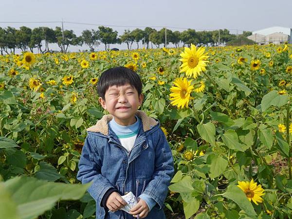 P8600107 (700x525).jpg