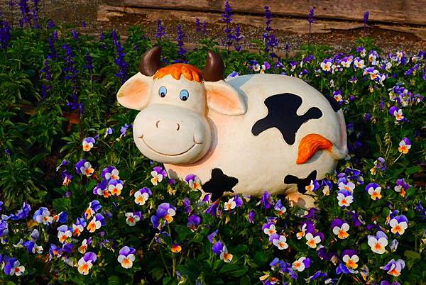 P8600370 (700x468).jpg