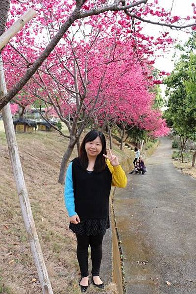 IMG_8417 (433x650).jpg