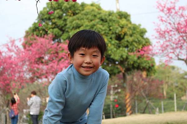 IMG_8420 (650x433).jpg