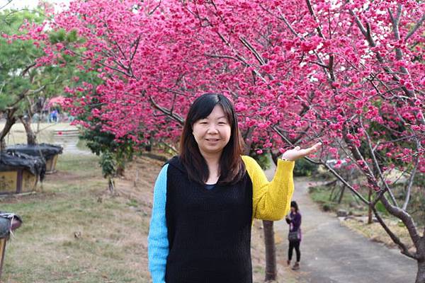 IMG_8426 (650x433).jpg