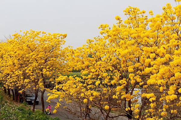 IMG_8934 (620x413).jpg