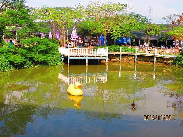 IMG_5223 (660x495).jpg