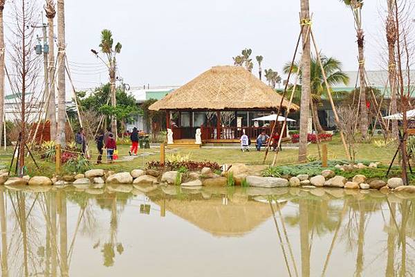 IMG_8235 (620x413).jpg