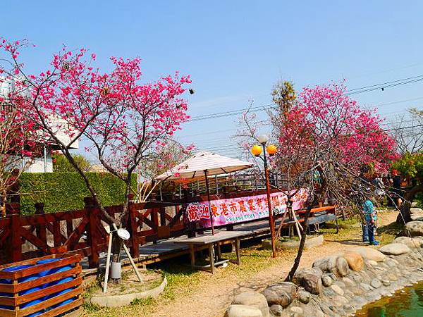 P8600215 (620x465).jpg