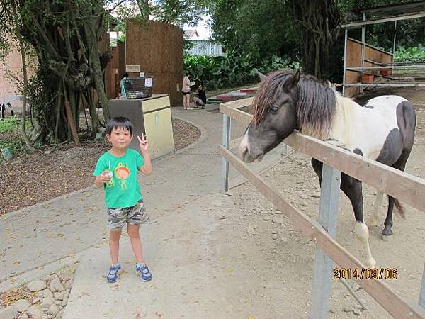 IMG_3025 (620x465).jpg