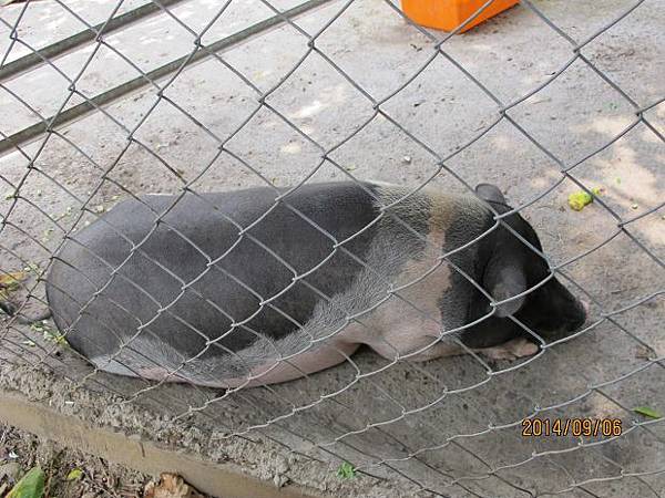 IMG_3052 (620x465).jpg