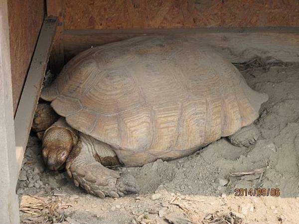 IMG_3157 (620x465).jpg