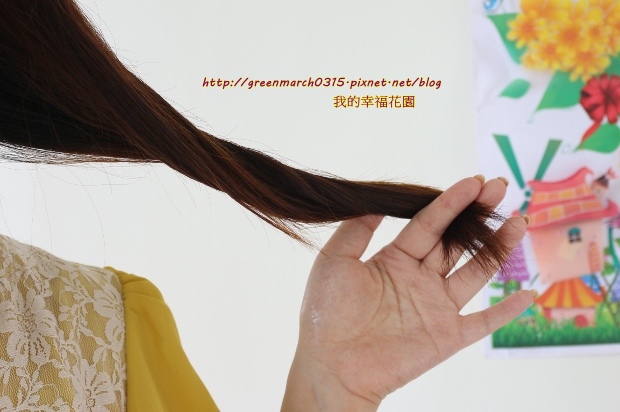 IMG_1446 (620x412).jpg 試用