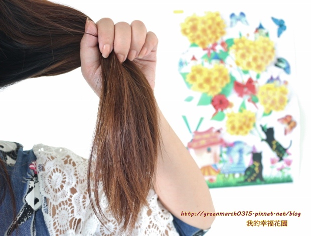 IMG_1507 (620x472).jpg 試用