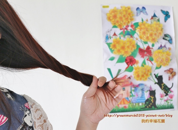 IMG_1511 (620x454).jpg 試用