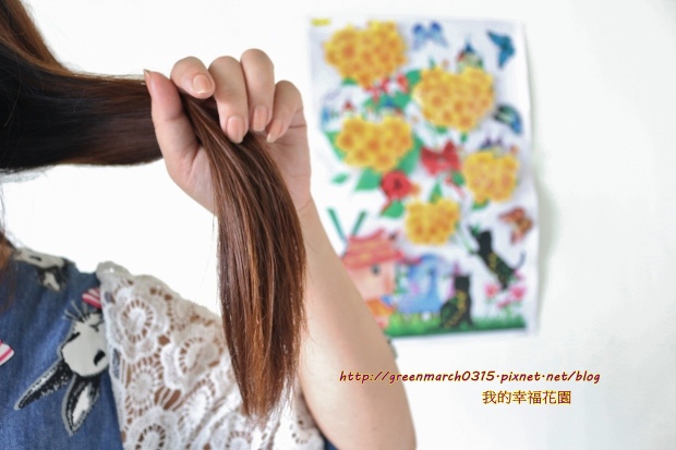 IMG_1513 (620x413).jpg 試用