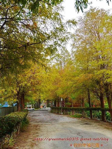 P8860384 (465x620).jpg