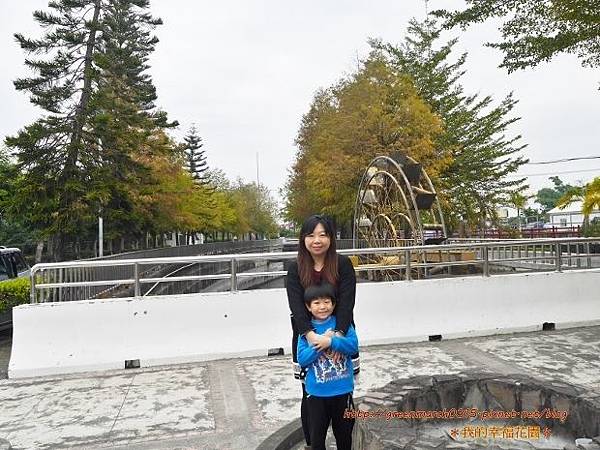 P8860424 (620x465).jpg