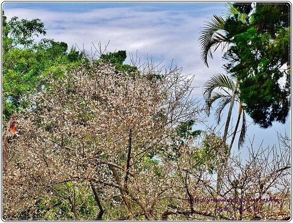 P8880774 (620x470).jpg