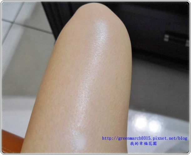 P8940023 (620x458).jpg 試用