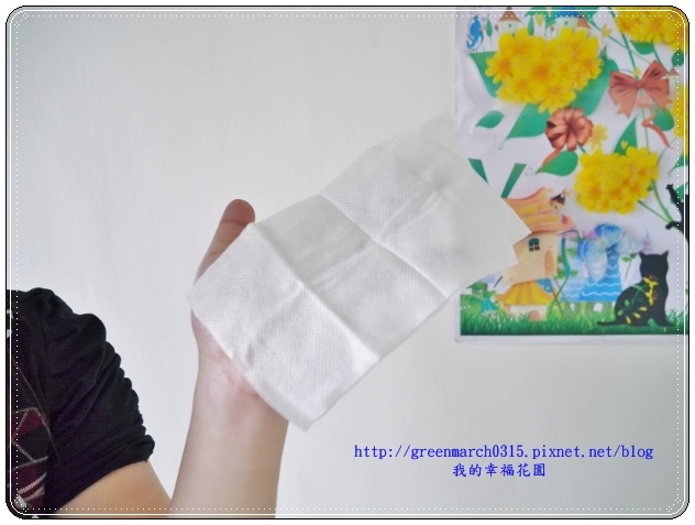 P8980572 (620x465).jpg 試用