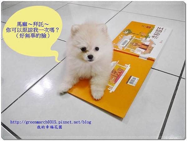 P8970576 (620x465).jpg